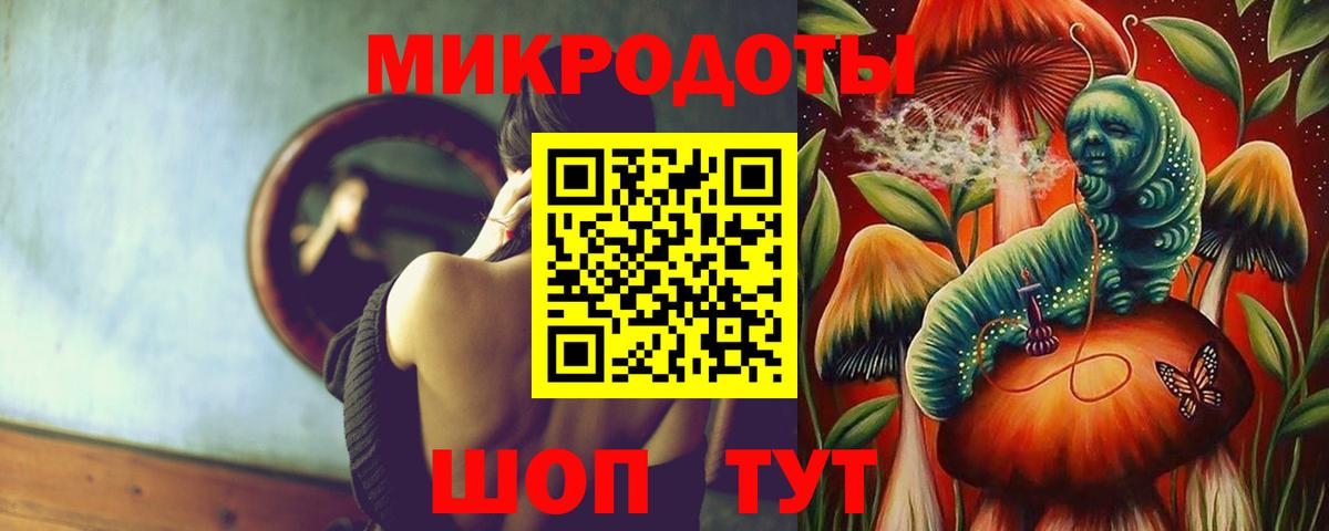 Галлюциногенные грибы Psilocybe  Вход с VPN  Елизово 